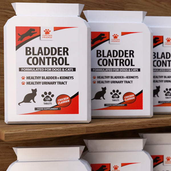 Bladder Support for Dogs & Cats Helps with Urinary Tract Infections