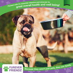 Daily Multi-Vitamins for Dogs: Overall Health & Well-Being