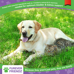 Bladder Support for Dogs & Cats - Helps with Urinary Tract Infections