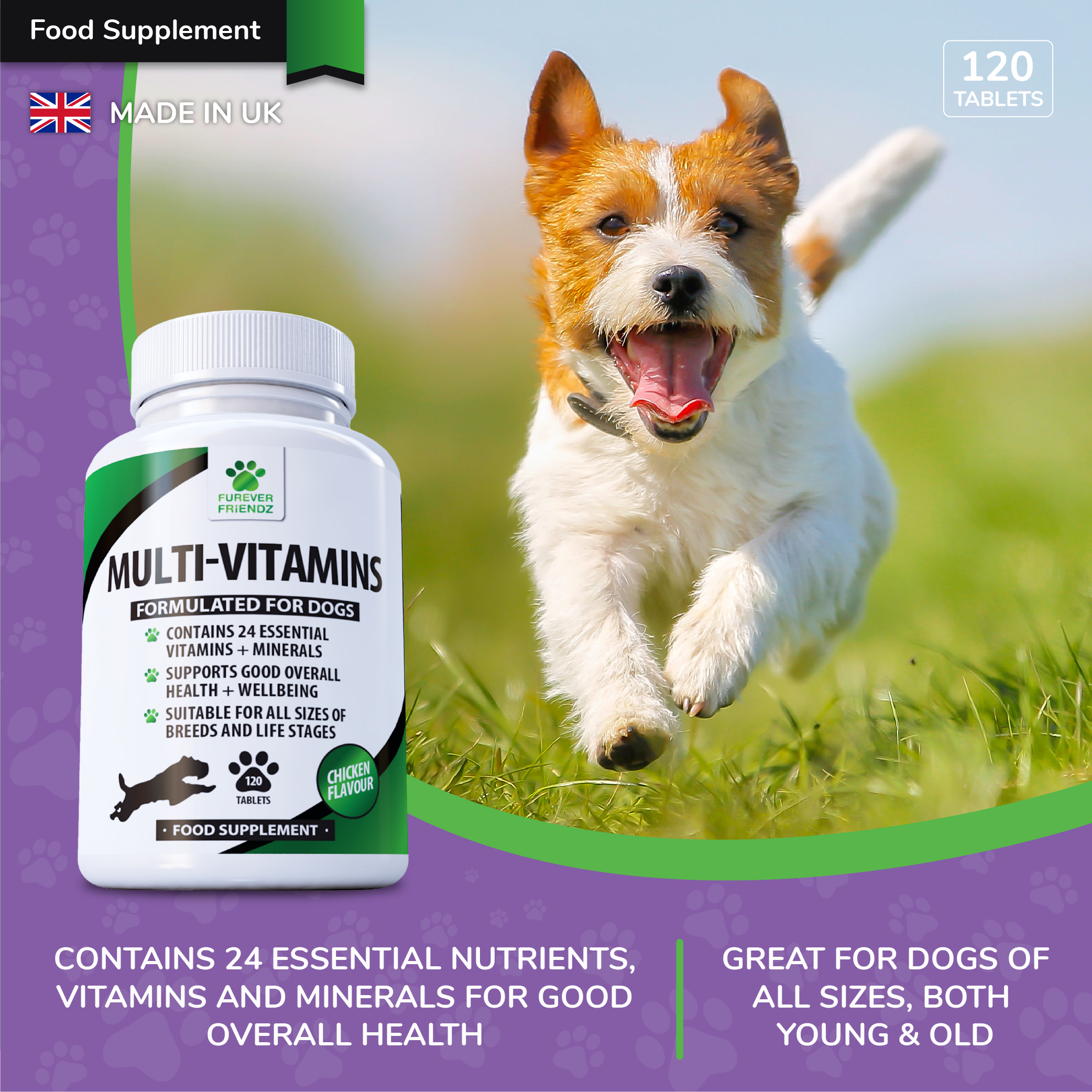 Essential vitamins for dogs hotsell