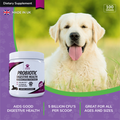 Probiotics for Dogs - Aids Good Digestive Health (Chicken Flavour Powder)